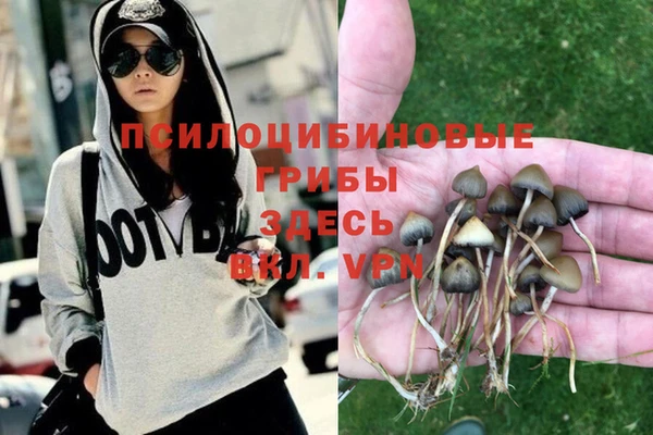 apvp Абинск