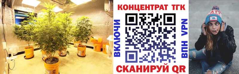 закладки  Сысерть  Дистиллят ТГК THC oil 