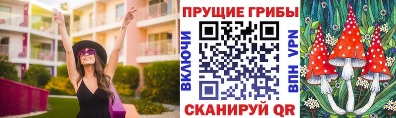 купить наркоту  Сысерть  Галлюциногенные грибы Magic Shrooms 